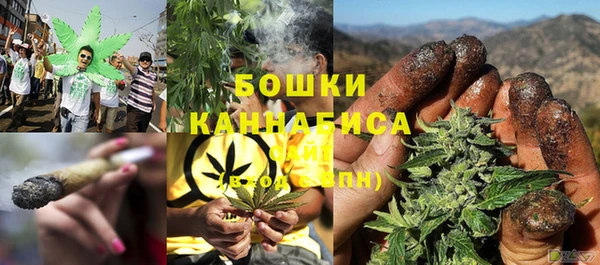прущая мука Няндома